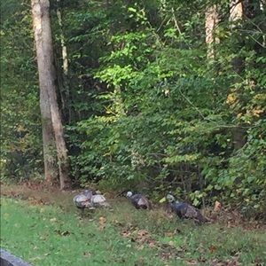 Meet your Posher, Tami